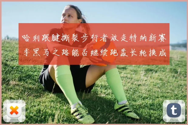 哈利跟腱撕裂步行者放走特纳新赛季黑马之路能否继续跑轰长轮换成关键
